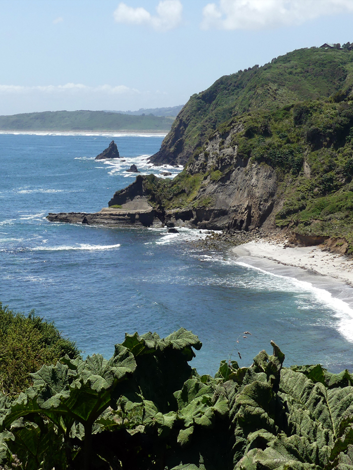 atractivos ancud cabañas don hugo 5